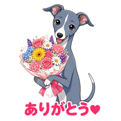 Italian Greyhound Everyday Stickers