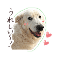 letty.vivi_20260423211233