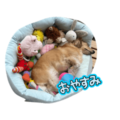 Totoro_20260423184439