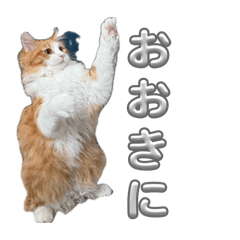 eastman_20260423184700