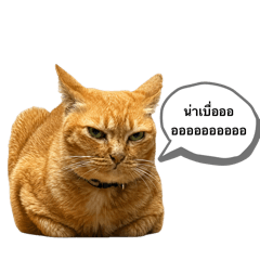 Png Studio_20260423181004