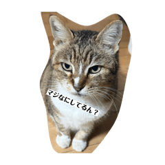 Junji_20260423220227