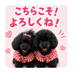 mayu_20260423220320