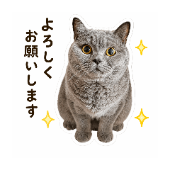 Matako_20260423220050