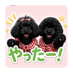 mayu_20260424002840