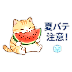 Syunpei_20260424062025