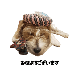 TAITONS_20260424064707