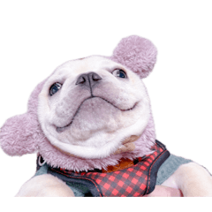 mashiro_20260424063312