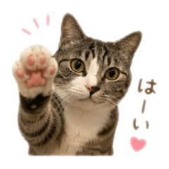 jun622_20260424071223