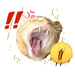 Biw Wariya_20260423185826