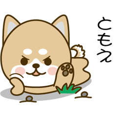 Shiba inu Sticker 020