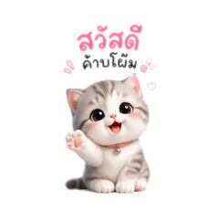 Sornpapha_20260423193952