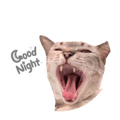 Piramon eiei_20260423193526