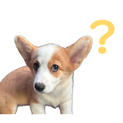 Wanwalai_20260423194054