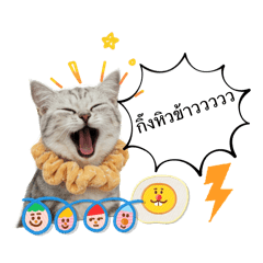 Pookpik ja_20260423193740