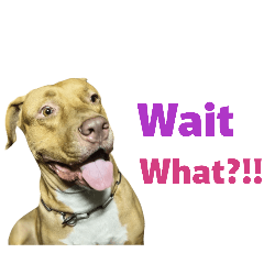 Thanaporn_20260423194818