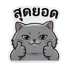 Tonrak Happy_20260423195122