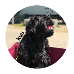 TOMOMI_20260423224030