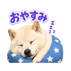 SuuMocchi_20260424010956