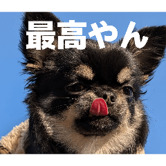 muuchi_20260424011224