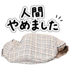 kxxxxxxxdrrrrr_20260424012459