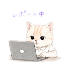 gdgd41s_20260424005517