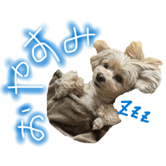 owawa_20260424012157