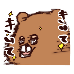 kumanoko,Kuma-san