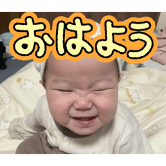 tlost_20260424013049