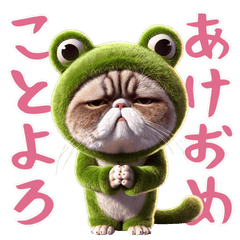 Cat Wearing a Frog Costume!New Year's!!