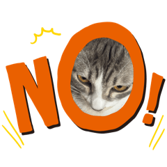 ANZATO_20260423181549