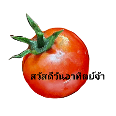 shiikk_20260423210433