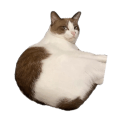 STORMI_20260423181419