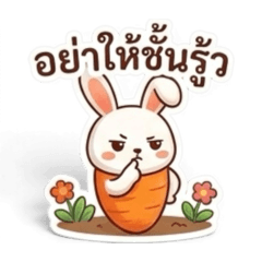 Carrot_20260423211945