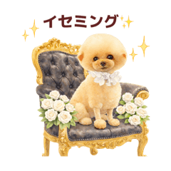 song june_20260424081243