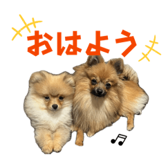 masaki_20260424081445