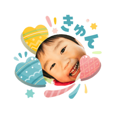 pocota_20260424083212