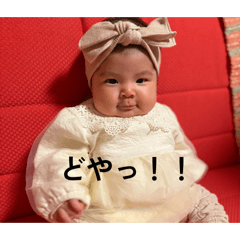 Tommy_20260424082845