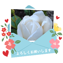 Hanasaku-san_20260424083750