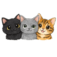 Life with Three Cute Cats