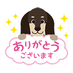 Dachshund_convey emotions