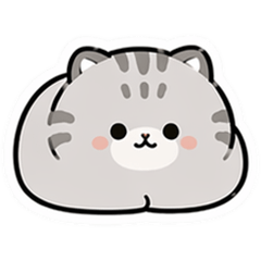 BIG! 一整隻曼努爾貓