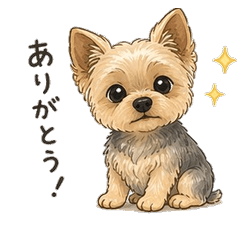 Short-haired Yorkshire Terrier Dog