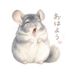 Cutie chinchilla stickers
