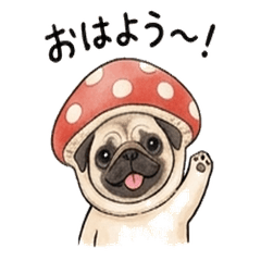 Red mushroom Pug