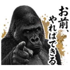 conference_20260423211353