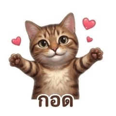 ampbox88_20260423203024