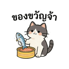 3A & The Cat Studio_20260423205242