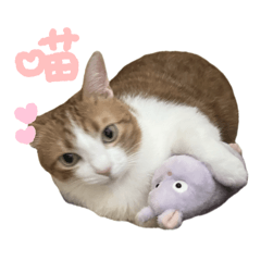 可愛漂亮の方圈圈