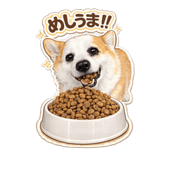 Momijiko Family Stickers